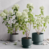 Rosendahl Recycled Flower Pot, Green Ø: 11.8" By Rosendahl