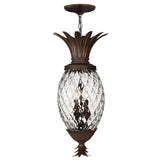 Plantation Large Hanging Lantern - Copper Bronze - by Hinkley