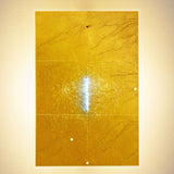 24 Karat Blau Flat Wall Lamp by Ingo Maurer - View 7