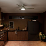 Ample Ceiling Fan lifestyle 3