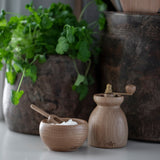 Kay Bojesen Menageri Salt Cellar With Spoon, Oak, H: 1.6" By Kay Bojesen