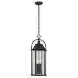 Harbor Row Outdoor Hanging Light detail 1