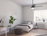 Anisten Smart Fan with LED Light