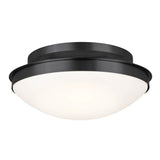 Bretta Ceiling Light Black 17.75 Inch