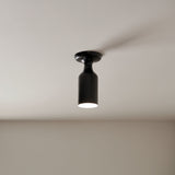 Sisu Ceiling Semi Flush Light lifestyle 1