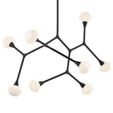 Cassius Chandelier Black 26.5 Inch