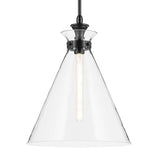 Laria Cone Pendant Black 16 Inch