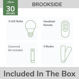 Brookside Jasmine Roth Indoor Fandelier with LED Light