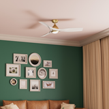 Elise Outdoor Energy Fan DC with LED Light