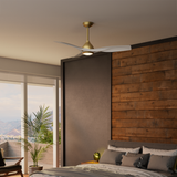 Elise Outdoor Energy Fan DC with LED Light