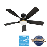 Julia Outdoor Energy Star DC with LED Light