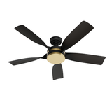 Julia Outdoor Energy Star DC with LED Light