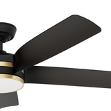 Julia Outdoor Energy Star DC with LED Light