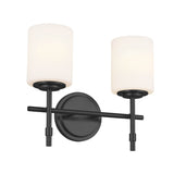 Ali Vanity Light Black 2 Light