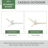 Cassius Smart Fan Outdoor