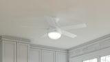 Anslee Low Profile with LED Light