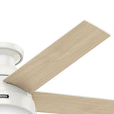 Anslee Low Profile with LED Light