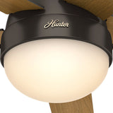 Anslee Low Profile with LED Light