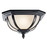 Salisbury Outdoor Ceiling Semi Flush Light Black