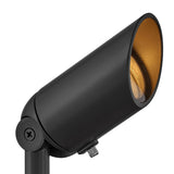 Accent Spot Light