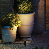 Accent Spot Light