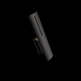 Aegis Outdoor Wall Light