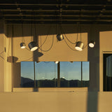 Aim Multi Light Pendant Light