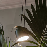 Aim Single Pendant Light
