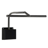 Airy Picture Light 24 Inch Polished Graphite Stem By CVL