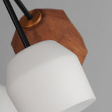 Akimbo 12-Light Pendant By Maxim Lighting - Detailed View1