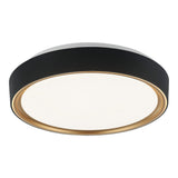 Alamus Ceiling Light 15 Inch Aged Gold / Matte Black
