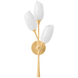 Aldean Wall Sconce By Troy Lighting