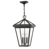 Alford Place Medium Hanging Lantern - Museum Black - by Hinkley
