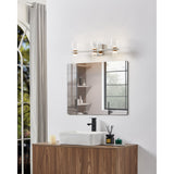 Amelia 24-inch 6-light Polished Nickel and Champagne Gold 5CCT LED Vanity Light with Clear and Clear Ribbed Glass