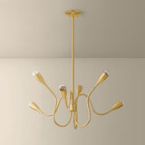 Anaise Chandelier lifestyle