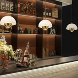 Andoria Pendant Light Polished Brass Frosted White By PageOne Lifestyle View1