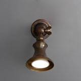 Antique Brass Accra Traditional Small Brass Spotlight by Mullan Lighting