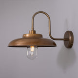 Antique Brass Darya Swan Neck Bathroom Wall Light By Mullan