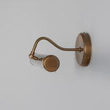 Antique Brass Elle Solid Brass Picture Light By Mullan