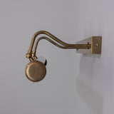 Antique Brass Large Dublin Picture Light By Mullan