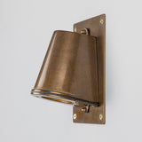 Antique Brass With Backplate Wade Outdoor Brass Spotlight by Mullan Lighting