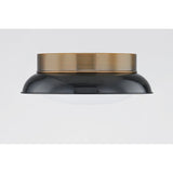 Arnie Flush Mount by Troy Lighting