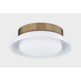 Arnie Flush Mount by Troy Lighting