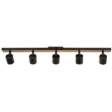 Arnold Five Head Fixed Track By Kuzco Back View