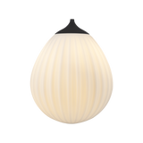 Around the World Black Medium By UMAGE With Light