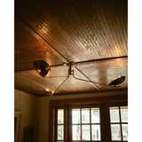 Avondale Close-to-Ceiling by Hudson Valley