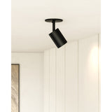 Barclay Flush Mount — Flush Mount