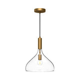 Belleview Pendant Light Aged Gold Clear Glass By Alora