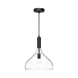 Belleview Pendant Light Clear Glass Matte Black By Alora