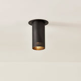 Berg Flushmount Bronze By Troy Lighting With Light